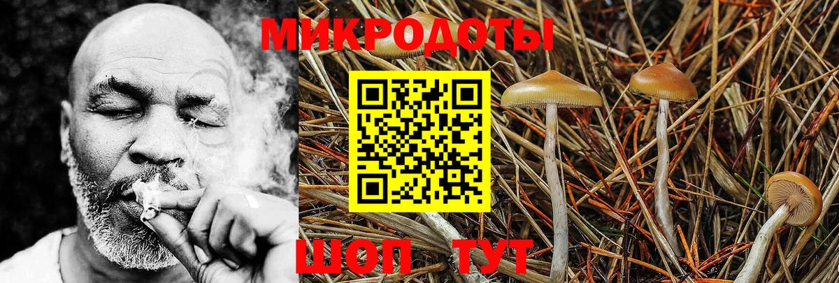 Псилоцибиновые грибы Magic Shrooms  Вход с VPN  Волжск  Галлюциногенные грибы ЛСД 